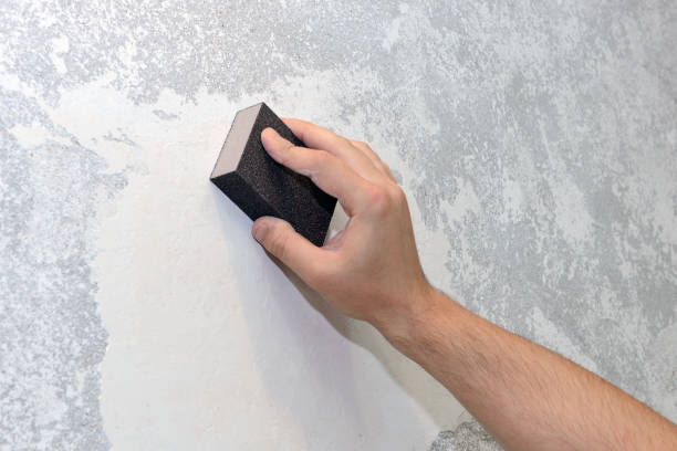 Best Water Damage & Mold Remediation  in Versailles, OH
