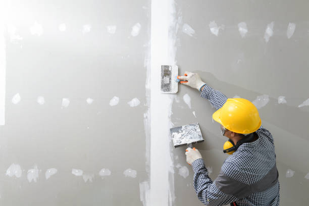 Best Asbestos and Lead Testing During Mold Inspection  in Versailles, OH