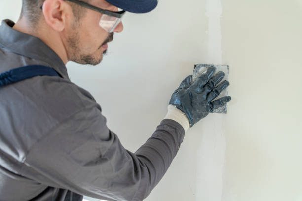 Best Mold Damage Restoration  in Versailles, OH