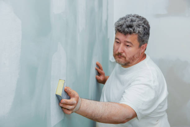 Best Mold Documentation for Insurance Claims  in Versailles, OH