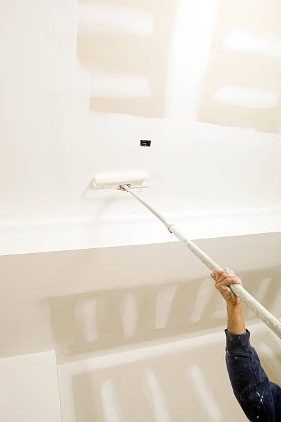 Best Comprehensive Air Testing for Mold Contaminants  in Versailles, OH