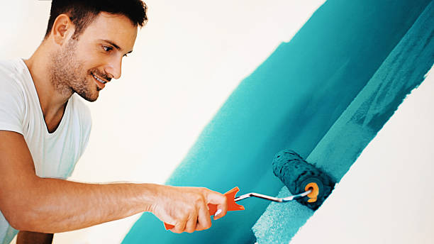 Best Mold Odor Removal Services  in Versailles, OH